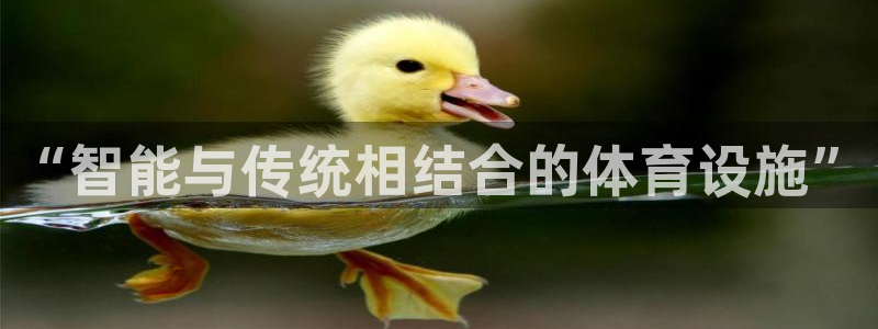 意昂4娱乐首页网站大全：“智能与传统相结合的体育设施