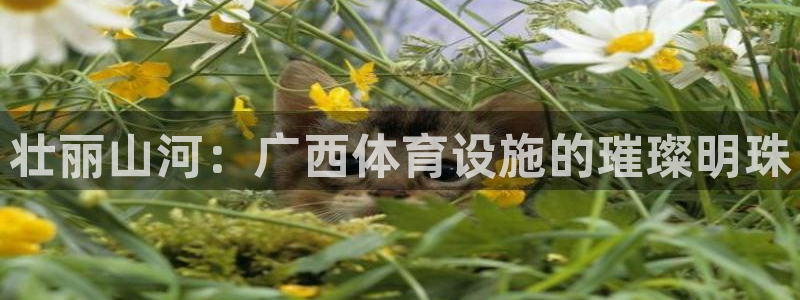 意昂体育4招商电话是多少：壮丽山河：广西体育设施的璀