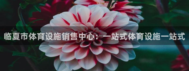德国意昂4集团：临夏市体育设施销售中心：一站式体育设