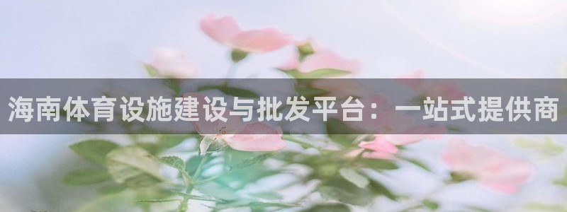 意昂平台体育：海南体育设施建设与批发平台：一站式提供