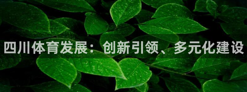 意昂4集团E.ON：四川体育发展：创新引领、多元化建