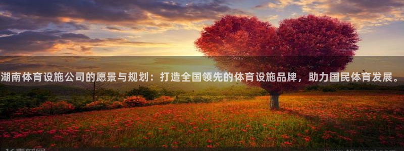 意昂4官网：湖南体育设施公司的愿景与规划：打造全国领