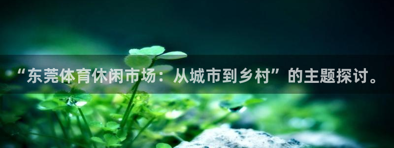 意昂4集团E.ON：“东莞体育休闲市场：从城市到乡村”的主题