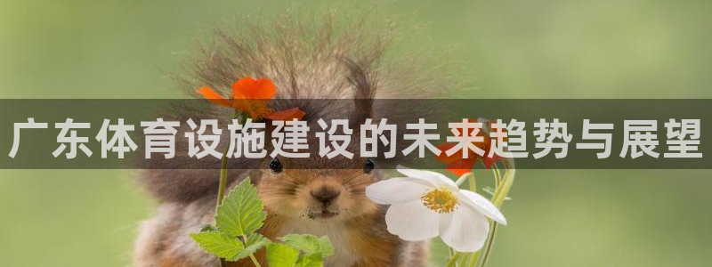 意昂4新能源：广东体育设施建设的未来趋势与展望