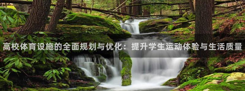 意昂4官网：高校体育设施的全面规划与优化：提升学生运动体验与