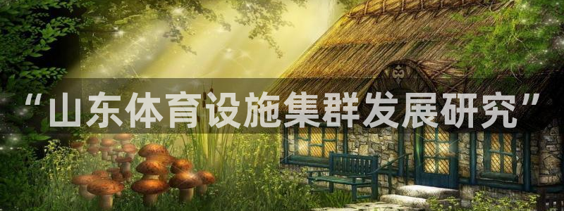 意昂体育4软件：“山东体育设施集群发展研究”