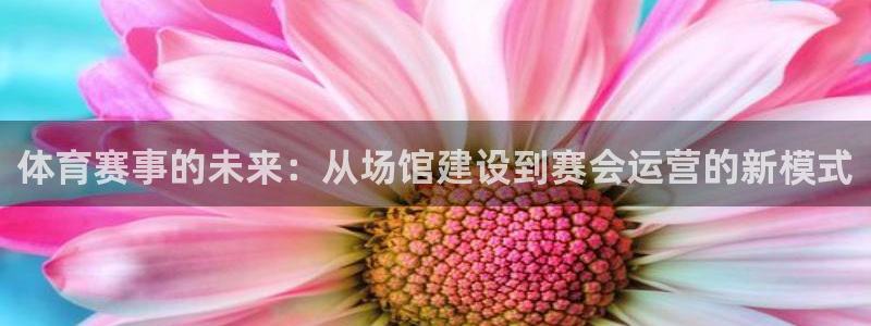 意昂4新能源：体育赛事的未来：从场馆建设到赛会运营的新模式