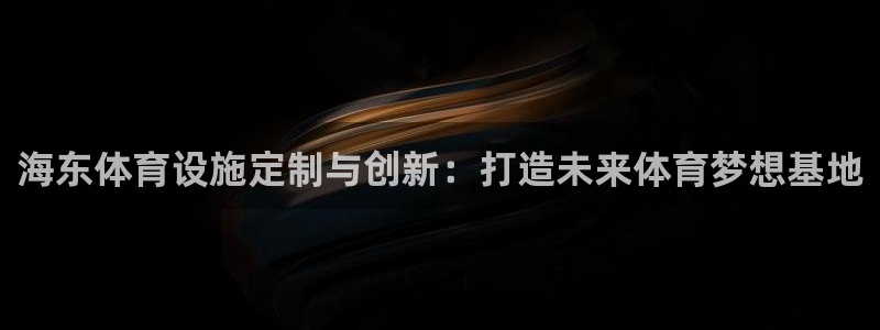 意昂4娱乐平台：海东体育设施定制与创新：打造未来体育