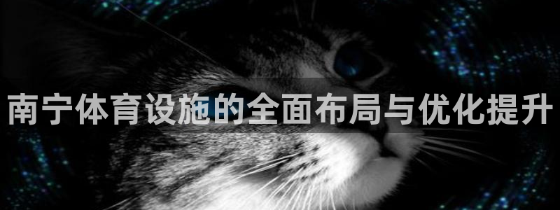 海南意昂体育4：南宁体育设施的全面布局与优化提升