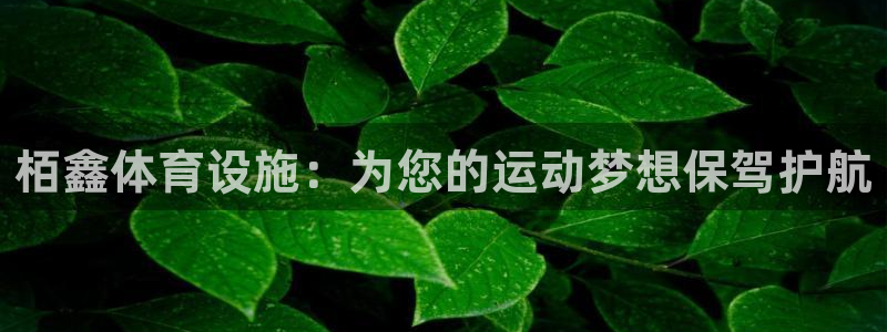 意昂体育4招商电话号码：栢鑫体育设施：为您的运动梦想