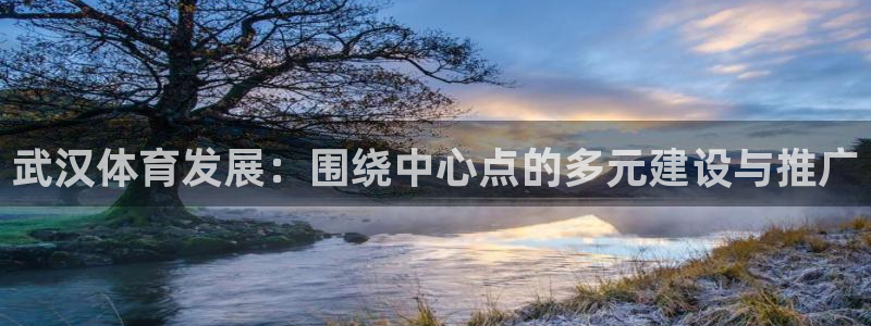 意昂4娱乐首页官网下载：武汉体育发展：围绕中心点的多