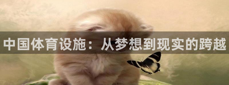 意昂体育4招商电话地址：中国体育设施：从梦想到现实的