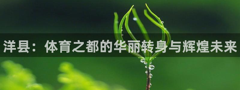 意昂体育4开户：洋县：体育之都的华丽转身与辉煌未来