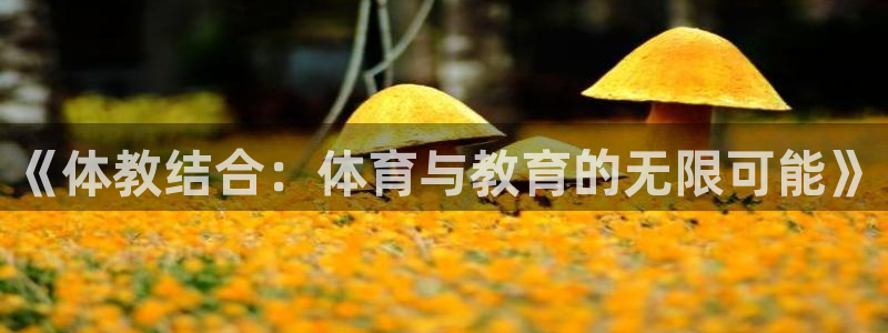 意昂体育4招商电话号码查询：《体教结合：体育与教育的