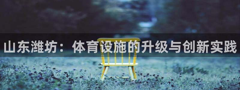 意昂体育4招商电话是多少啊：山东潍坊：体育设施的升级