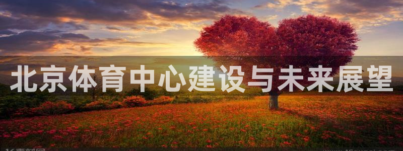 意昂体育4是干嘛的公司：北京体育中心建设与未来展望