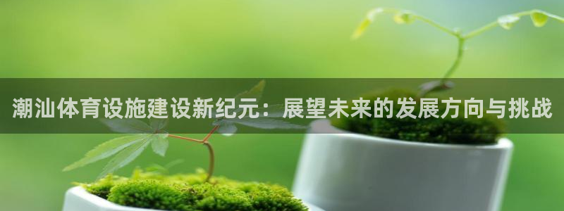 意昂4官方：潮汕体育设施建设新纪元：展望未来的发展方
