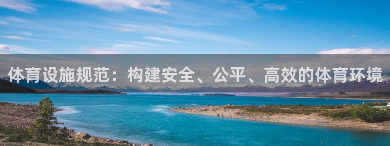 意昂体育4开户：体育设施规范：构建安全、公平、高效的体育环境