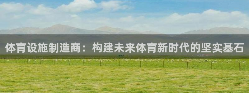 意昂4娱乐：体育设施制造商：构建未来体育新时代的坚实基石