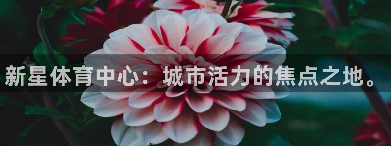 意昂体育4平台是正规平台吗知乎：新星体育中心：城市活