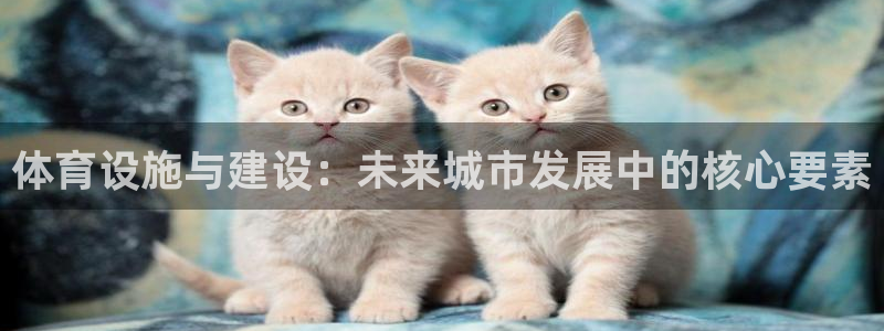 意昂4集团官网首页：体育设施与建设：未来城市发展中的