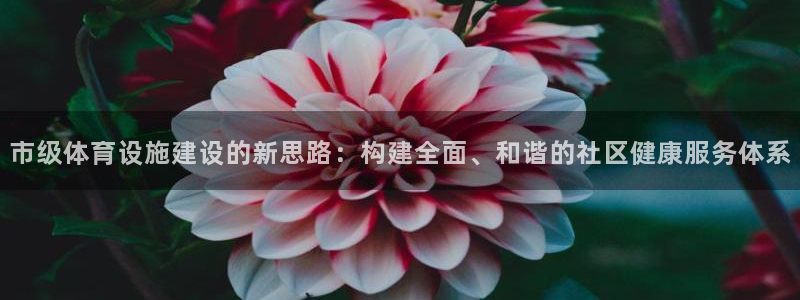 意昂体育4招商电话号码是多少：市级体育设施建设的新思