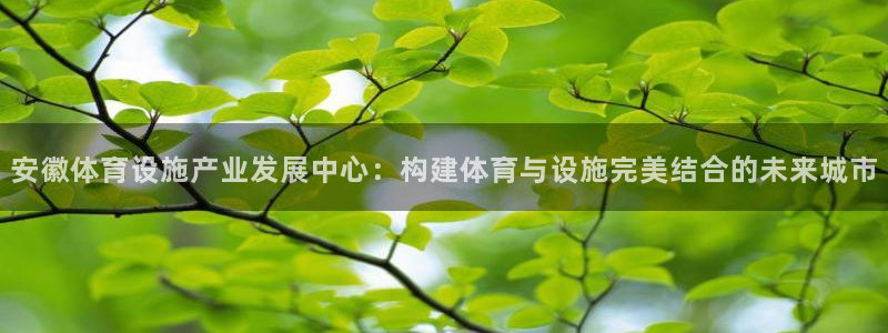 意昂4娱乐40996：安徽体育设施产业发展中心：构建