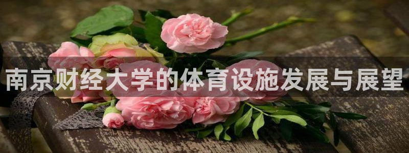 意昂体育4平台假的吗是真的吗吗：南京财经大学的体育设