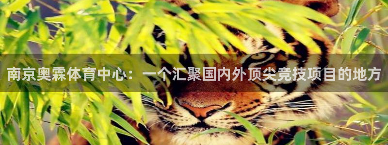 意昂4五金厂：南京奥霖体育中心：一个汇聚国内外顶尖竞