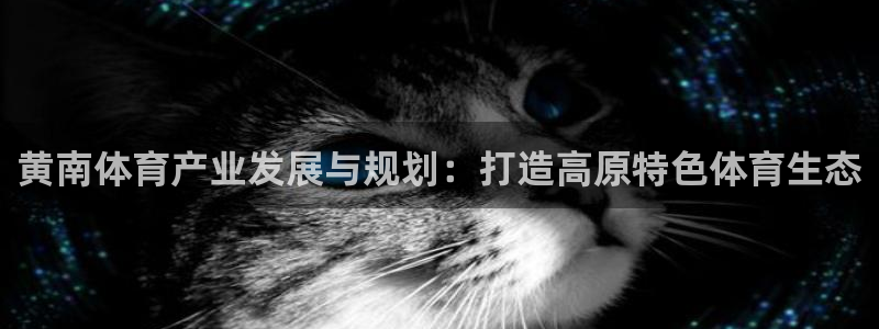 意昂体育4招商电话号码是多少号：黄南体育产业发展与规