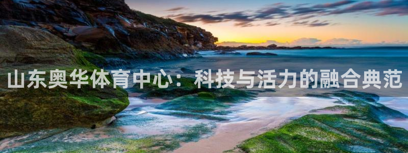 意昂4神州：山东奥华体育中心：科技与活力的融合典范