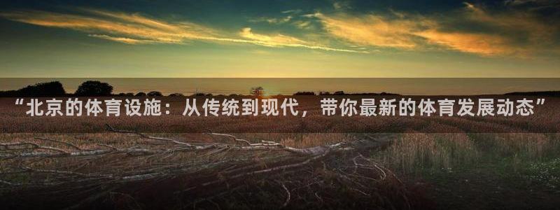 意昂体育4平台注册流程图：“北京的体育设施：从传统到
