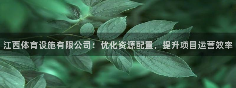 意昂体育4平台注册要钱吗：江西体育设施有限公司：优化