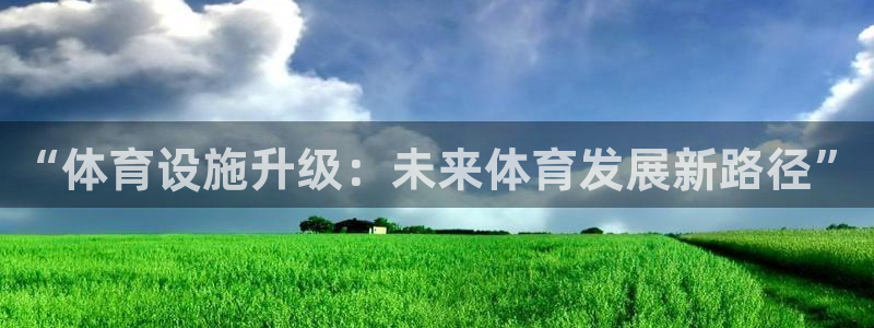 意昂4科技：“体育设施升级：未来体育发展新路径”