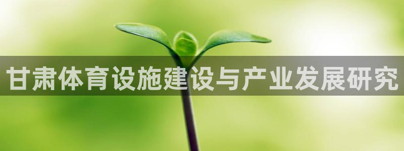 意昂4五金厂：甘肃体育设施建设与产业发展研究