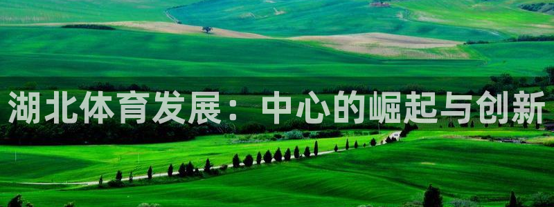 意昂体育4平台是正规平台吗知乎：湖北体育发展：中心的