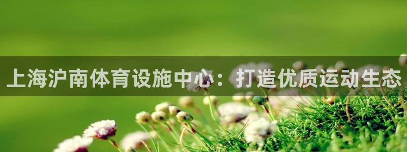 意昂4开户：上海沪南体育设施中心：打造优质运动生态