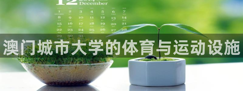 意昂4开户：澳门城市大学的体育与运动设施