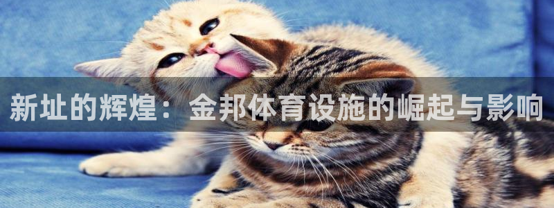 意昂体育4招商电话：新址的辉煌：金邦体育设施的崛起与