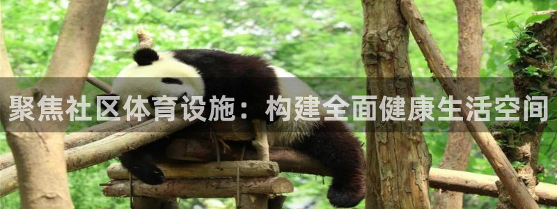 意昂4集团logo：聚焦社区体育设施：构建全面健康生