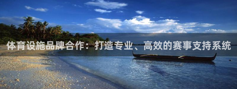 意昂4娱乐平台：体育设施品牌合作：打造专业、高效的赛