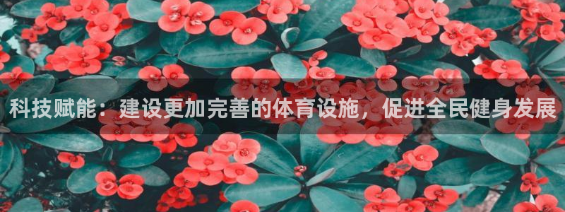 意昂4集团logo：科技赋能：建设更加完善的体育设施