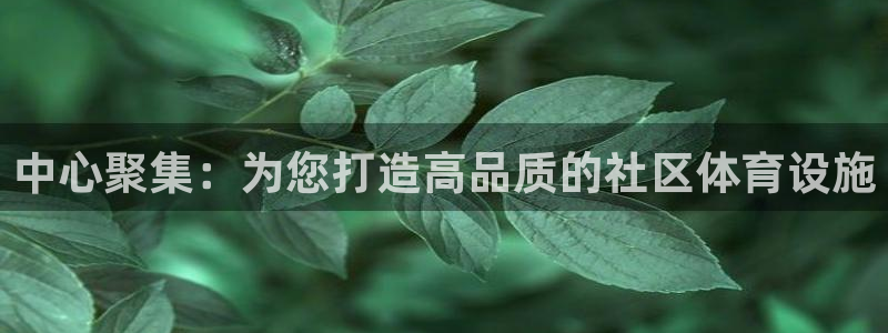 意昂体育4是干嘛的公司：中心聚集：为您打造高品质的社