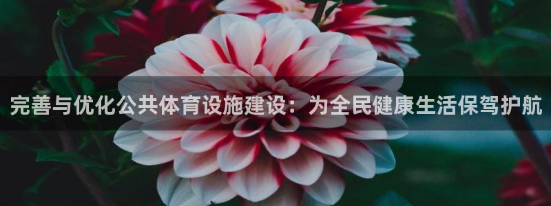 德国意昂4集团：完善与优化公共体育设施建设：为全民健