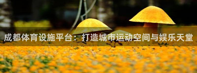 意昂体育4平台APP：成都体育设施平台：打造城市运动