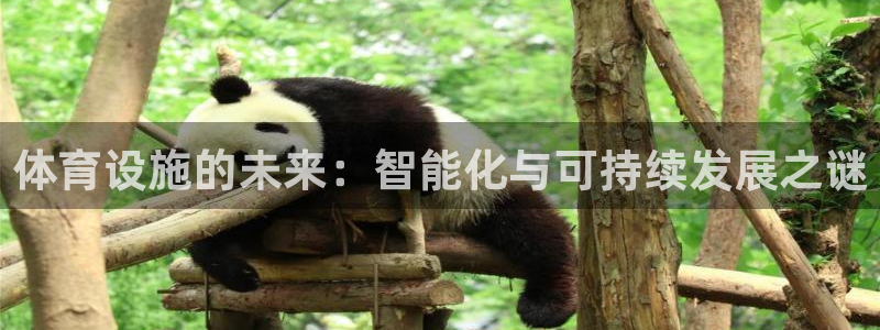 意昂体育4招商电话：体育设施的未来：智能化与可持续发展之谜