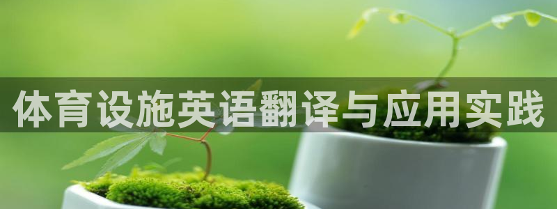 意昂体育4平台注册流程图：体育设施英语翻译与应用实践